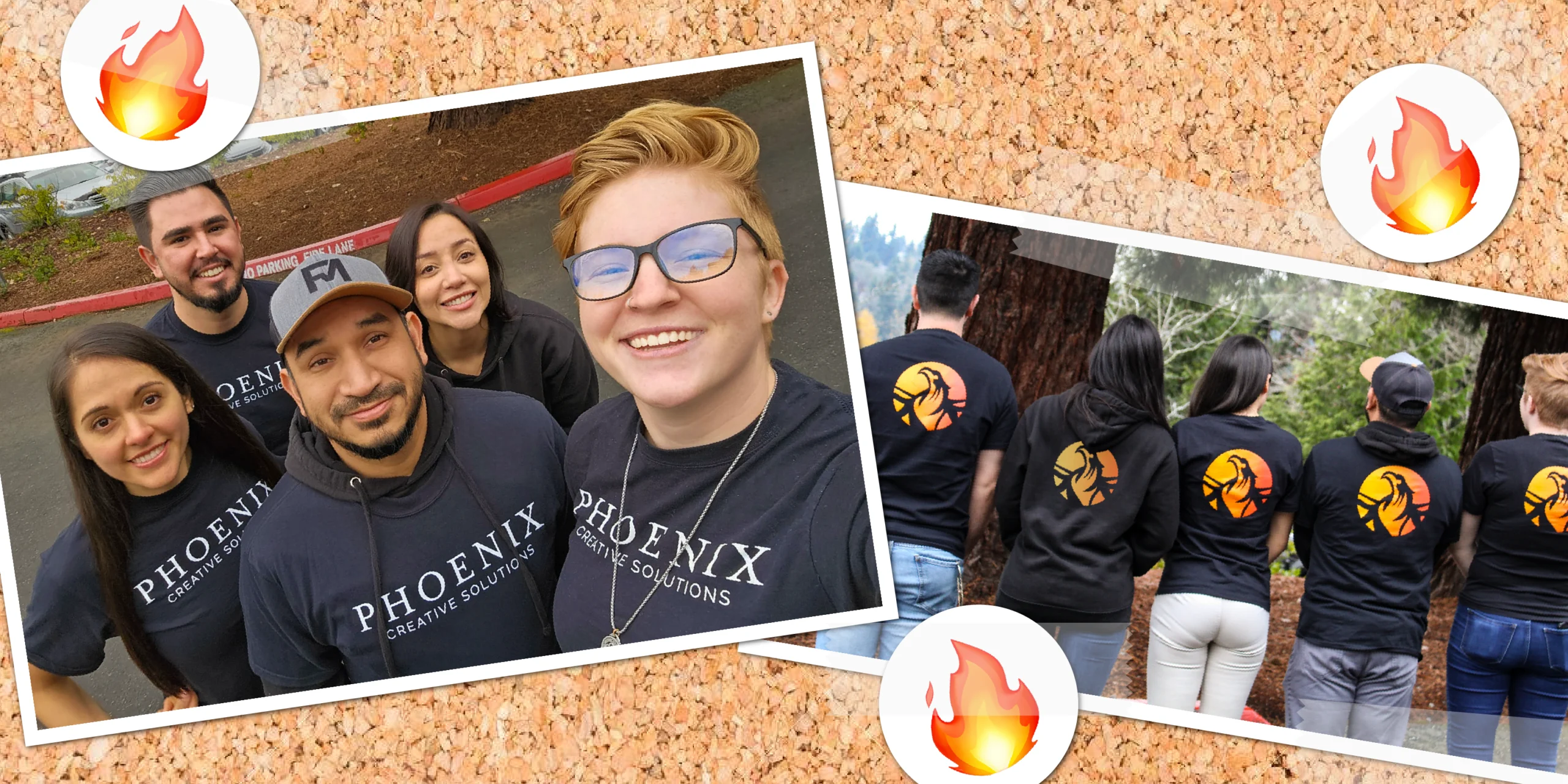 Thumbnail image for post Phoenix – Who We Are, What We Do, and Where We’ll Go Together
