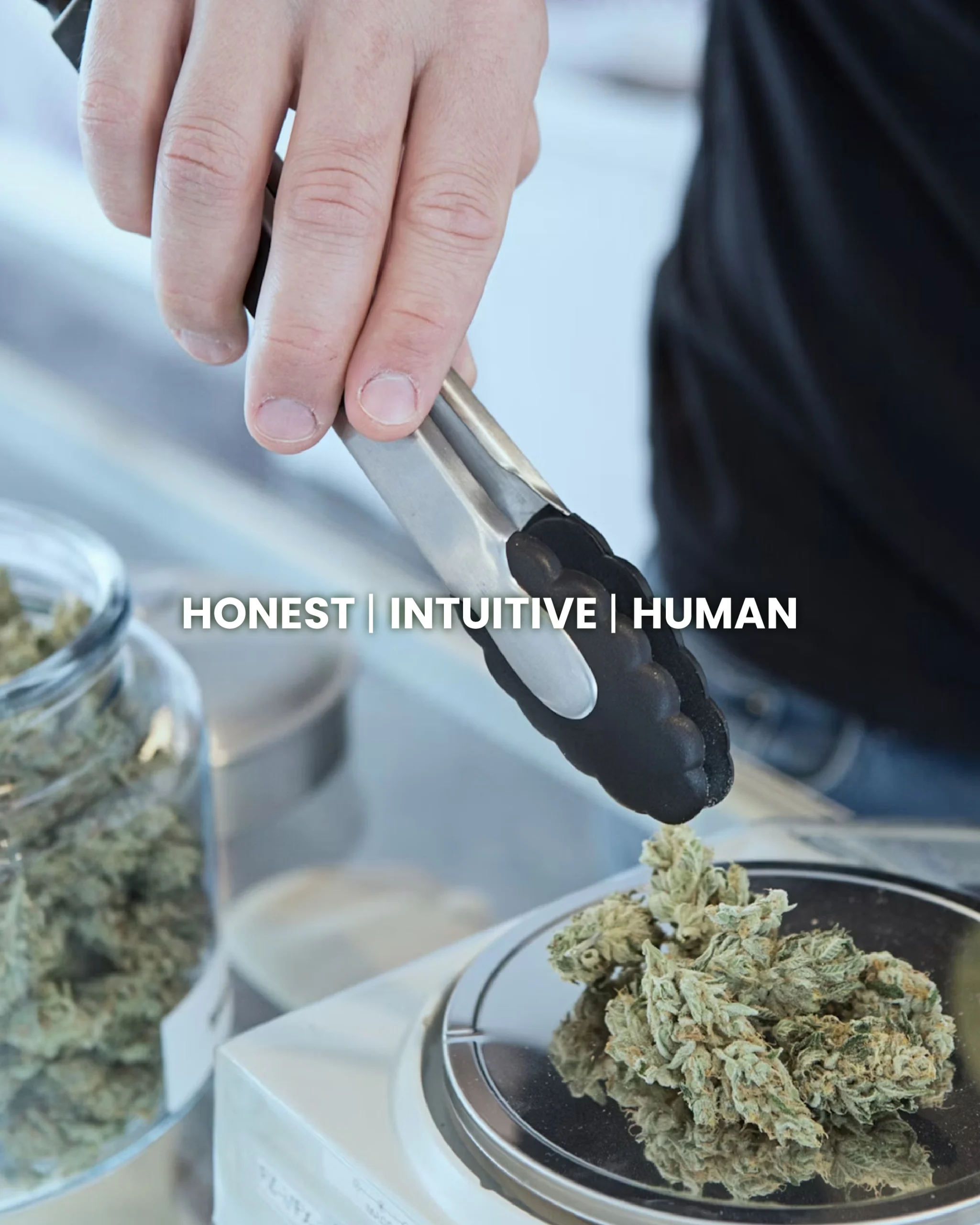 Honest | Intuitive | Human
That is Honest Buds
Cannabis and Tech